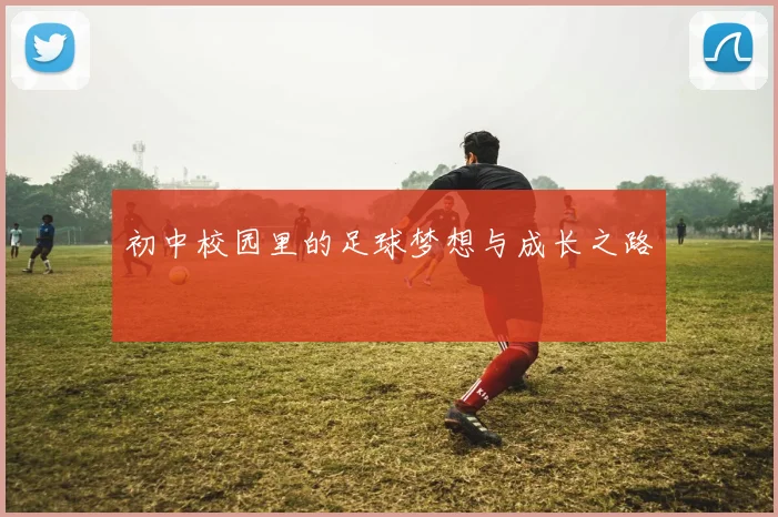 初中校园里的足球梦想与成长之路