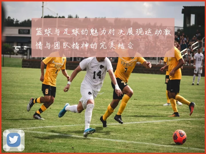 篮球与足球的魅力对决展现运动激情与团队精神的完美结合