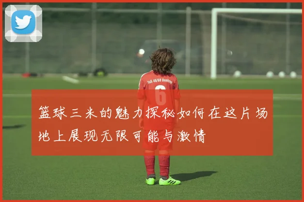 篮球三米的魅力探秘如何在这片场地上展现无限可能与激情