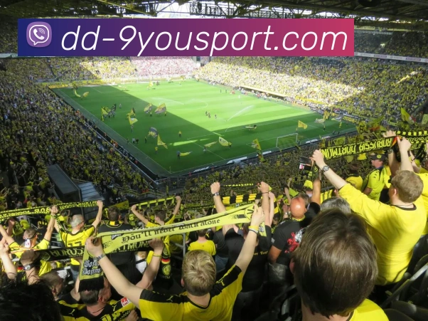 JIUYOU SPORTS服务体系